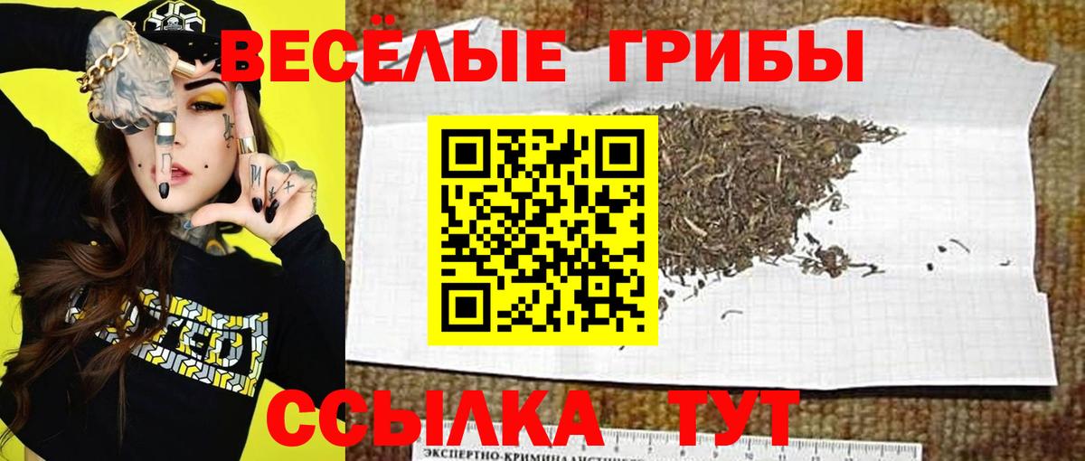 Псилоцибиновые грибы прущие грибы Азов